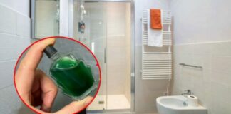 Vì sao nên đặt một lọ dầu gió trong nhà vệ sinh? Có lợi cho cả nam và nữ