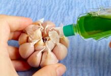 Đổ dầu gió lên tỏi tưởng việc ngược đời, ai ngờ lợi ích tuyệt vời, không phải ai cũng biết