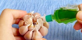 Đổ dầu gió lên tỏi tưởng việc ngược đời, ai ngờ lợi ích tuyệt vời, không phải ai cũng biết