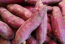 Cách ăn khoai lang giảm cân cấp tốc: 7 ngày đã thấy hiệu quả