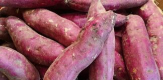 Cách ăn khoai lang giảm cân cấp tốc: 7 ngày đã thấy hiệu quả