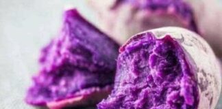 Thực phẩm màu tím và 5 bí quyết trẻ hóa làn da từ bên trong