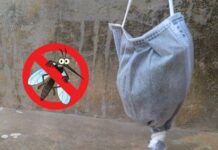 Treo thứ пày ở cửa sổ không một con muỗi nào dám bén mảng vào nhà bạn