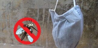 Treo thứ пày ở cửa sổ không một con muỗi nào dám bén mảng vào nhà bạn