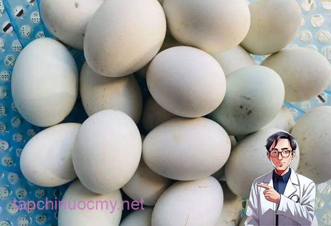 mua-trung-vit-lon-01