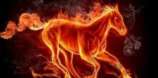 Năm 2026, năm “Ngựa đỏ song Hỏa” cực hiếm gặp, 60 năm mới có 1 lần, mang điềm báo đặc biệt gì?