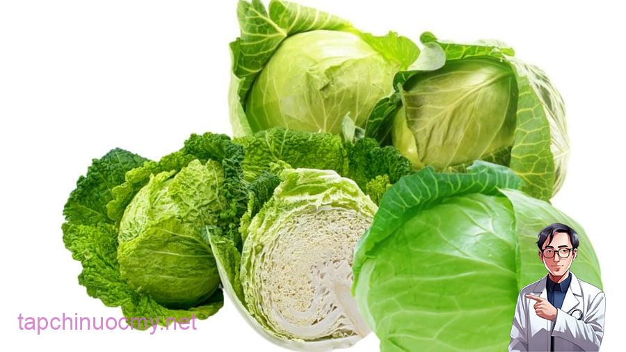 Rau bắp cải có nhiều công dụng với sức khỏe