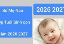 Sinh con năm 2026 mệnh gì, hợp với bố mẹ tuổi nào?