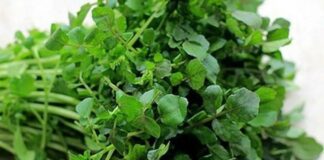 7 loại rau ít calo, hỗ trợ giảm cân dễ dàng