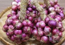 Cách bảo quản hành, tỏi cả năm không bị mốc, không bị teo thối hay mọc mầm