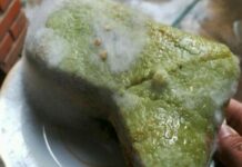 Bánh chưng xuất hiện dấu hiệu này: Tuyệt đối đừng ăn kẻo “rước” độ.c tố vào người