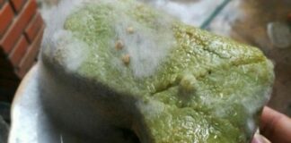 Bánh chưng xuất hiện dấu hiệu này: Tuyệt đối đừng ăn kẻo “rước” độ.c tố vào người