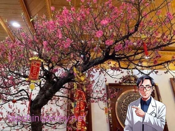 Nếu mai vàng là hình ảnh đặc trưng của Tết miền Nam thì hoa đào lại gắn liền với không khí Tết miền Bắc.