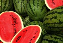 5 loại rau trái mùa ăn không ngon và ít giá trị dinh dưỡng