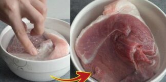 Sức KhỏeLấy thịt từ ngăn đá cứng đơ như gạch, cho vài giọt này vào 5 phút là mềm tươi, tha hồ nấu nướngBy Tạp Chí Nước Mỹ – 08/04/20257396