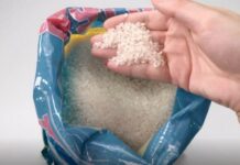 Hóa ra mọt gạo sợ nhất là “nó”, bỏ một ít vào túi gạo để cả năm không lo sâu mọt