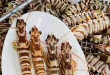 Tôm sông và tôm biển khác nhau thế nào? Loại nào nhiều canxi hơn?