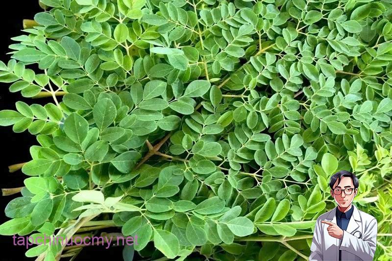 Sự thật về loại rau có khả năng đẩy lùi 90% tế bào ung thư chỉ trong vòng 48 giờ, ở Việt Nam mọc dại đầy đường - ảnh 1