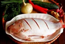 Chuyên gia khuyên: 3 loại cá nước ngọt nên ăn thường xuyên giúp hạ và đào thải axit uric hiệu quả