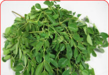 Loại rau phá hủy hơn 90% tế bào UT trong vòng 48h mà người Việt cứ ngỡ là rau dại mọc đầy đường