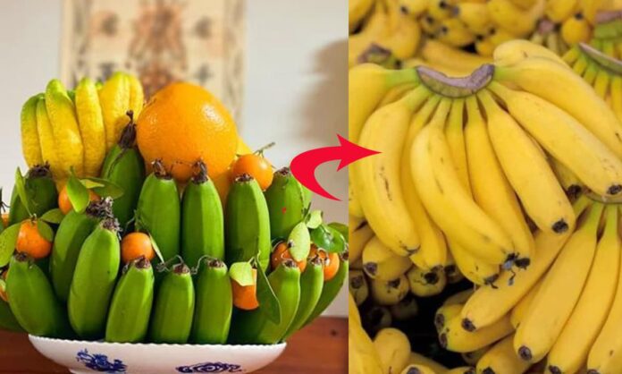 chuoi-chin-bsdf-ngoisaovn-w1200-h720