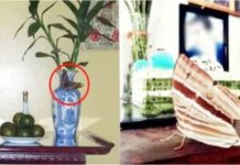 4 dấu hiệu trên bàn thờ cảnh báo điềm may mắn đang tới nhà bạn: Đặc biệt điều thứ 2