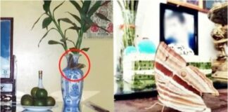 4 dấu hiệu trên bàn thờ cảnh báo điềm may mắn đang tới nhà bạn: Đặc biệt điều thứ 2