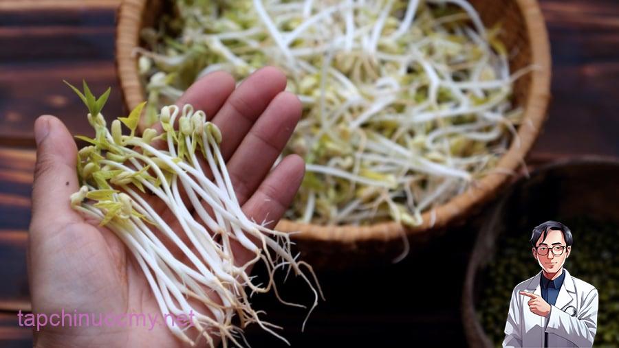 Giá đỗ là nguồn cung cấp vitamin nhóm B dồi dào, đặc biệt là B1, B2 và B6