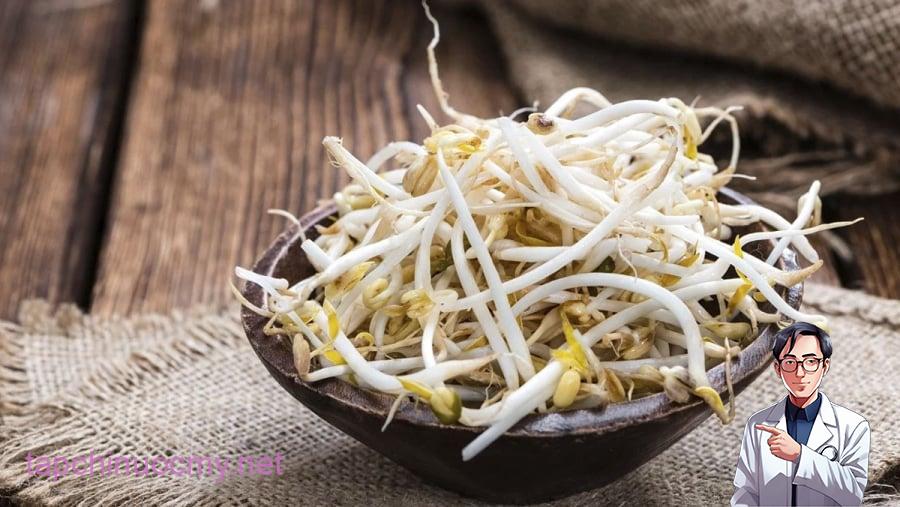 Giá đỗ là một loại thực phẩm có hàm lượng calo tương đối ít nhưng lại giàu chất xơ và nước