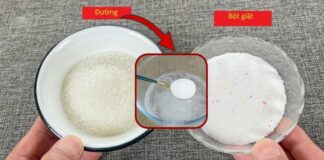 Đem xà phòng trộn chung với đường: Công dụng tuyệt vời, nhà nào cũng cần đến