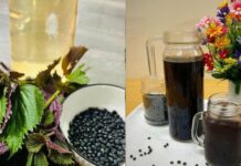 Lý do nên uống nước tía tô đậu đen