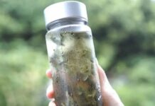 Trà ủ lạnh, cách uống trà gần gũi, ít caffein hơn, giúp trẻ đẹp hơn