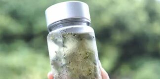 Trà ủ lạnh, cách uống trà gần gũi, ít caffein hơn, giúp trẻ đẹp hơn