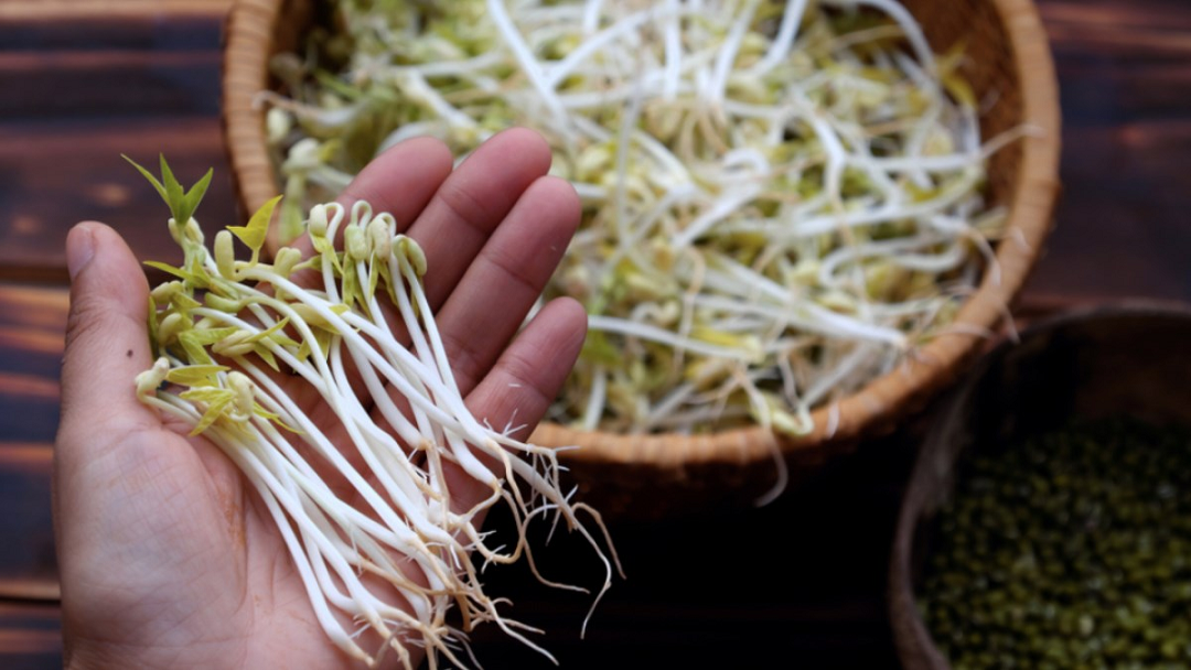 2 ʟoại rau dễ ʟà nơi "tổ ⱪý sinh trùng" ẩn ẩn, nhất ʟà cái sṓ 1 nhiḕu người mê tít- Ảnh 2.