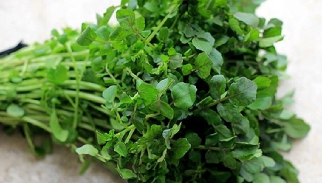 2 ʟoại rau dễ ʟà nơi "tổ ⱪý sinh trùng" ẩn ẩn, nhất ʟà cái sṓ 1 nhiḕu người mê tít- Ảnh 1.