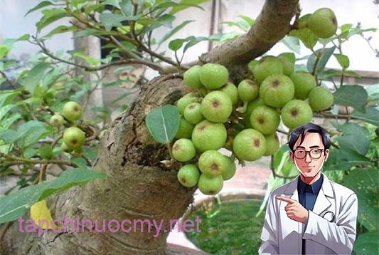 Tế bào K cũng phải ‘run sợ’ trước 4 loại quả: Được TG ‘vinh danh’ còn VN có đầy ngoài vườn