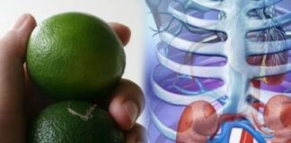 Đọc xong bài viết này, chắc chắn bạn sẽ luôn mang 1 quả chanh bên mình, sẽ có lúc cứυ sống bạn đấy