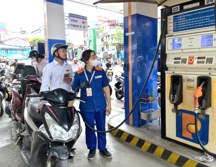 Nhiều trò chơi 'ăn theo' xăng E10 - Ảnh 1.