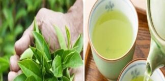 5 loại nước tốt cho thận của bạn: Đặc biệt loại thứ nhất, chẳng mất tiền càng uống càng trường thọ