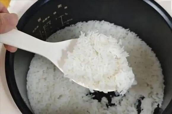 Cơm ʟà thực phẩm cơ bản trong bữa ăn hàng ngày, nhưng công việc bảo quản cơm thừa cũng cần ʟưu ý.