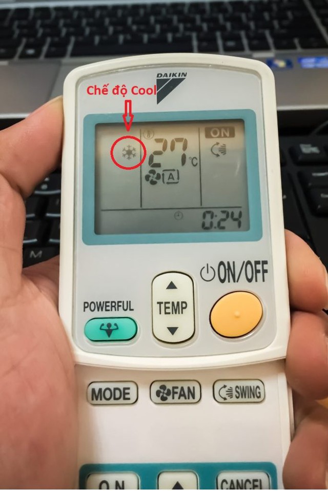  - Ảnh 4.