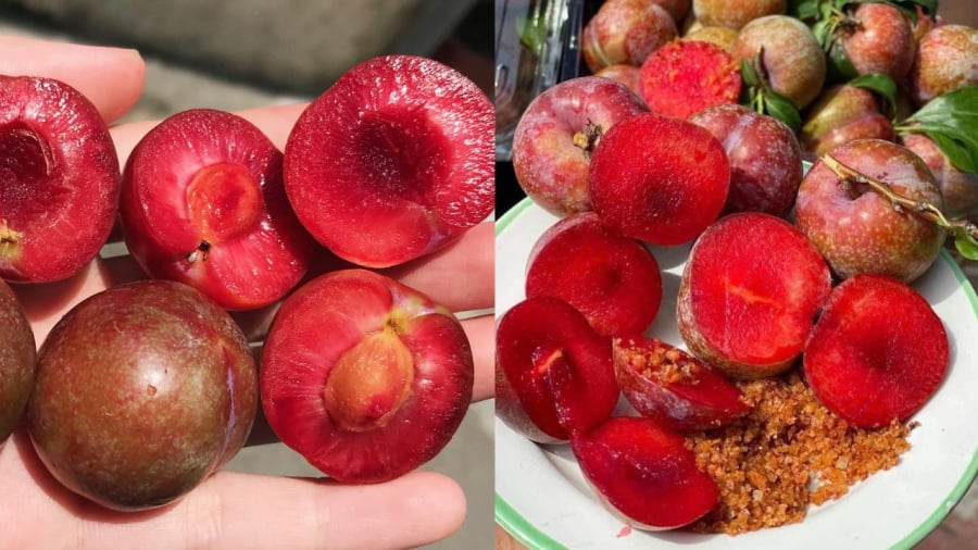Mận là loại trái cây ngon nhưng ăn nhiều có thể gây ra một số vấn đề. 