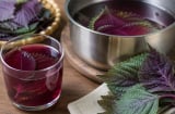 Nấu nước lá tía tô bao nhiêu phút là đủ? Tưởng đơn giản nhưng nhiều người làm sai