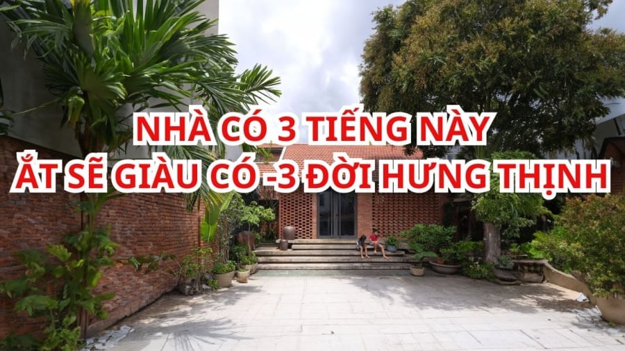 Dấu vết sắp xếp tài sản