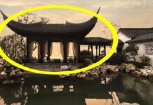 Người xưa dạy: “Trước nhà không có ao, sau nhà không cửa sổ”: Tại sao lại như vậy?