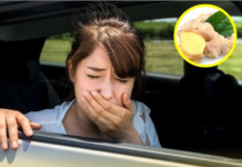 Mẹo giúp bạn đi ngàn dặm không bị say tàu xe