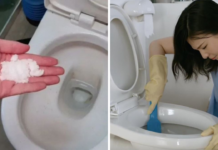 Thả nắm muối vào bồn cầu: Mẹo hay nhà nào cũng cần giúp tiết kiệm tiền triệu mỗi tháng, ai không biết quá phí