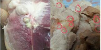 2 bộ phận của lợn chứa rất nhiều tế bào UT: Chớ dại mà ăn