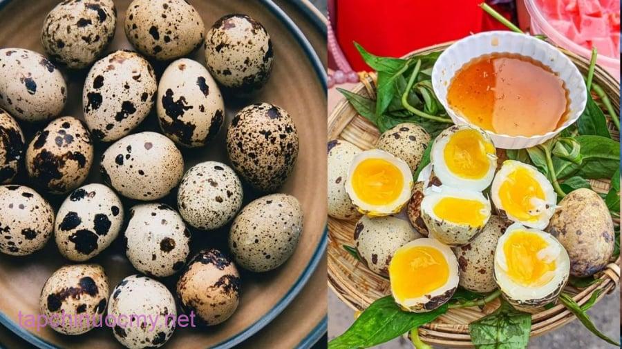 Quả thực cung cấp năng lượng và các chất dưỡng cần thiết cho cơ sở vật chất.