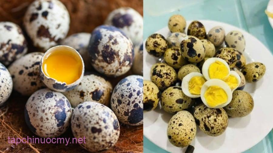 Thường xuyên ăn cút có thể hỗ trợ tăng cường miễn dịch, cải thiện sức khỏe của gan.